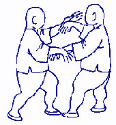 Taikiken double hand pushing hands