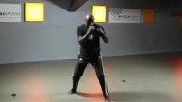 Ernesto Hoost Shadow boxing  this video clip is showing a few individual styles of Shadow boxing