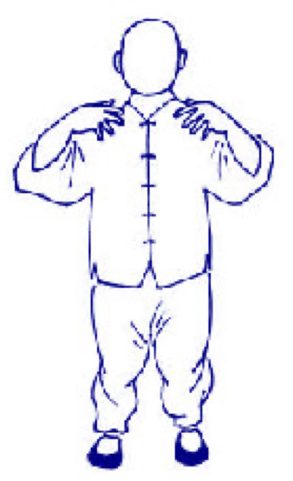 MartriX ritsuzen drawing