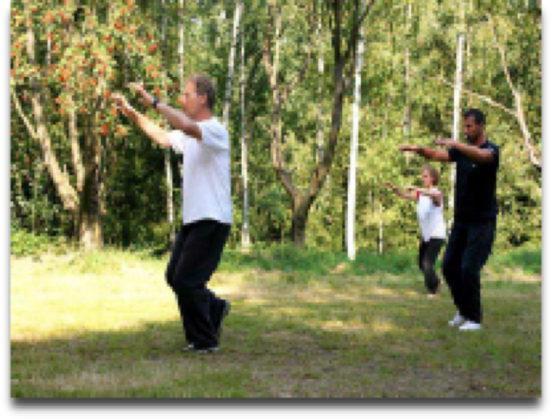 Ron Nansink walking high during Czechia  workshop