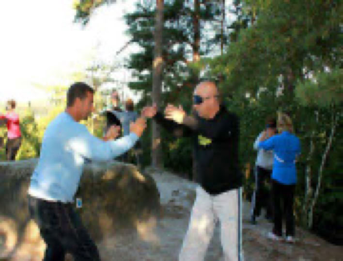 Taikiken advanced.  This internal martial art workshop offers you inspiring physical and mental journeys into your original Self. 