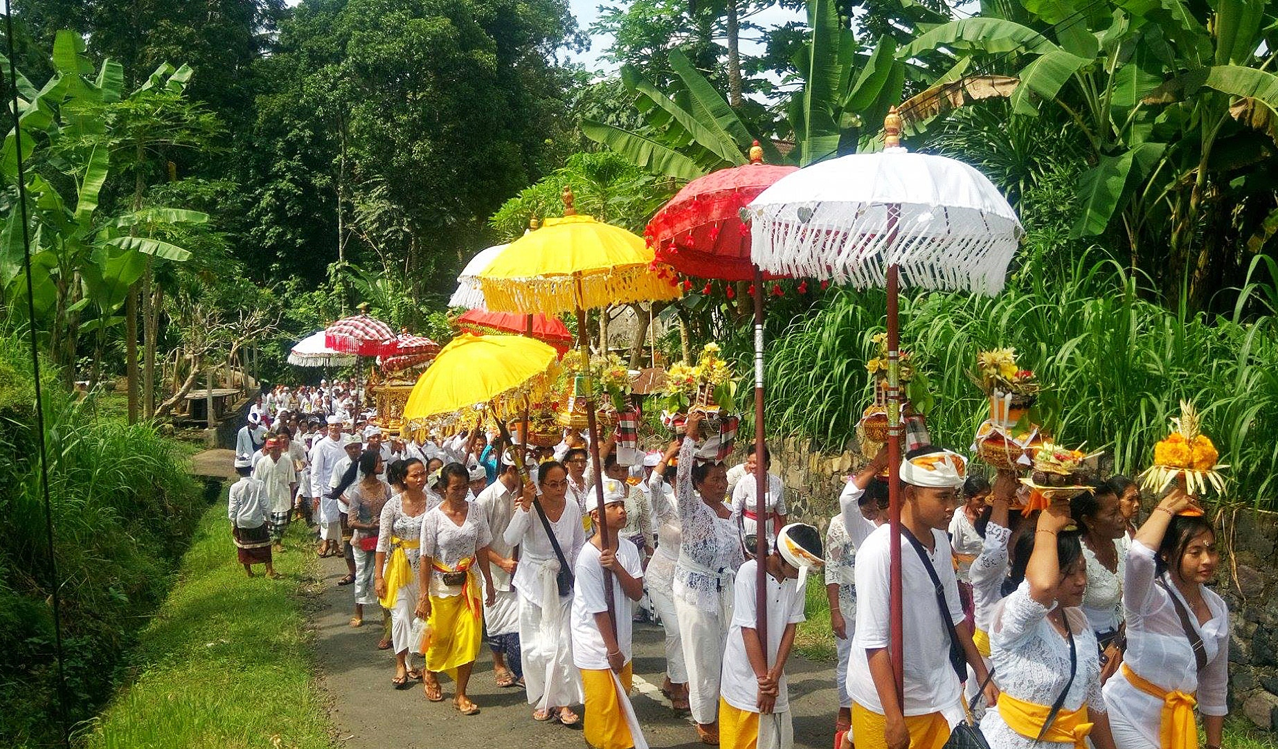 Discover the diverse beauty of Bali, Indonesia - an island filled with culture, natural wonders, and historical monuments. Explore dense jungles and stunning volcanoes.