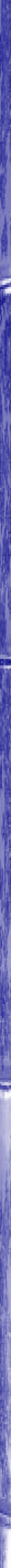 MartriX bamboo blue side stripe